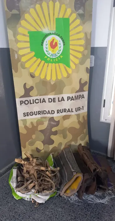 WhatsApp Image 2024-09-10 at 5.47.11 PM