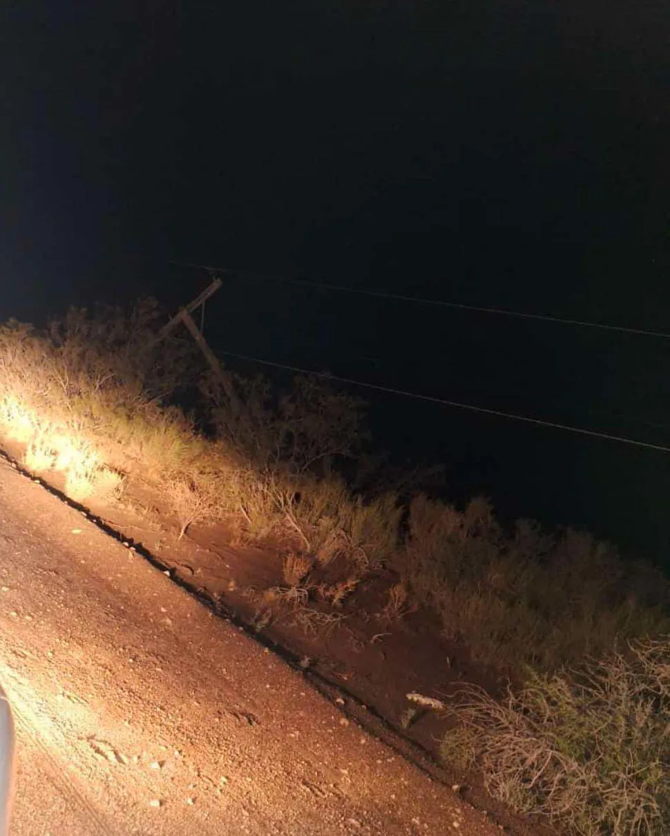 WhatsApp Image 2025-02-08 at 10.19.13 AM