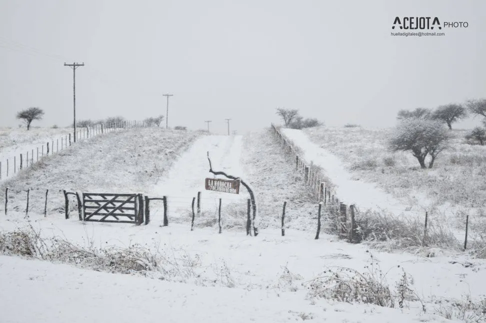 1380008_10202170135721791_453762883_nffdfdsfds