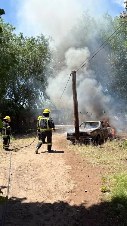 WhatsApp Image 2025-11-27 at 3.23.22 PM (1)