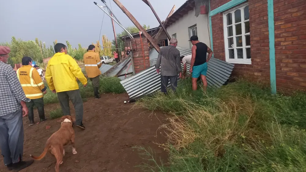 WhatsApp Image 2024-02-20 at 11.11.58 PM (1)