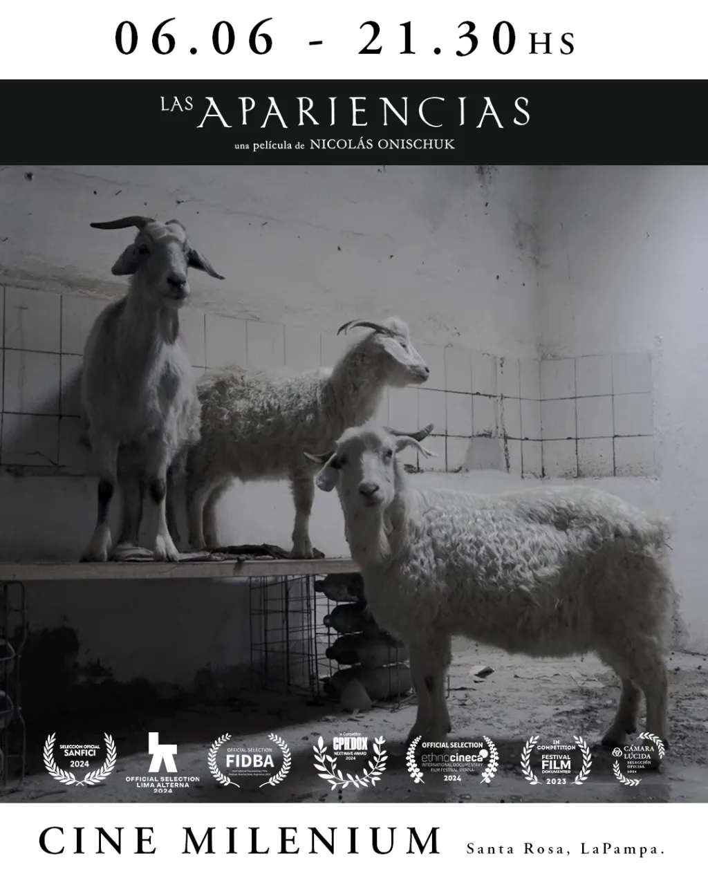 WhatsApp Image 2025-06-03 at 9.37.50 AM