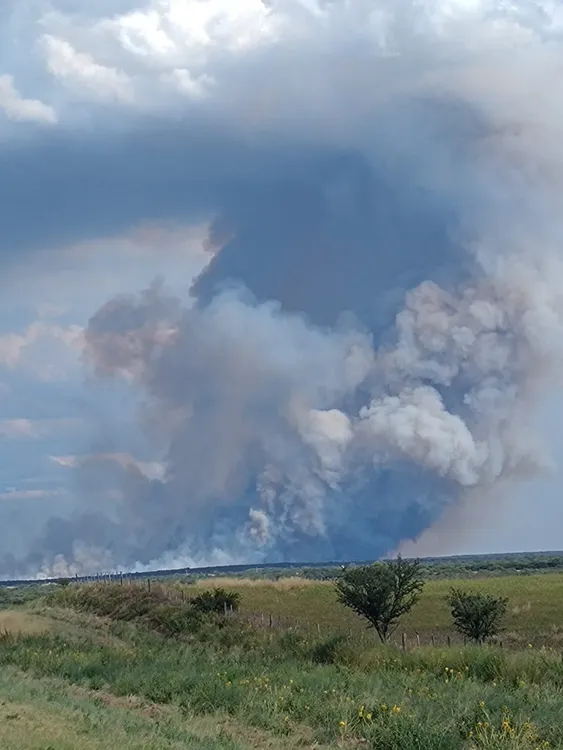 WhatsApp Image 2024-01-29 at 6.47.35 PM