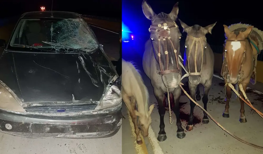 Sin título (1350 x 1080 px) (1350 x 1080 px) (1550 x 1080 px) (1850 x 1080 px) (7)