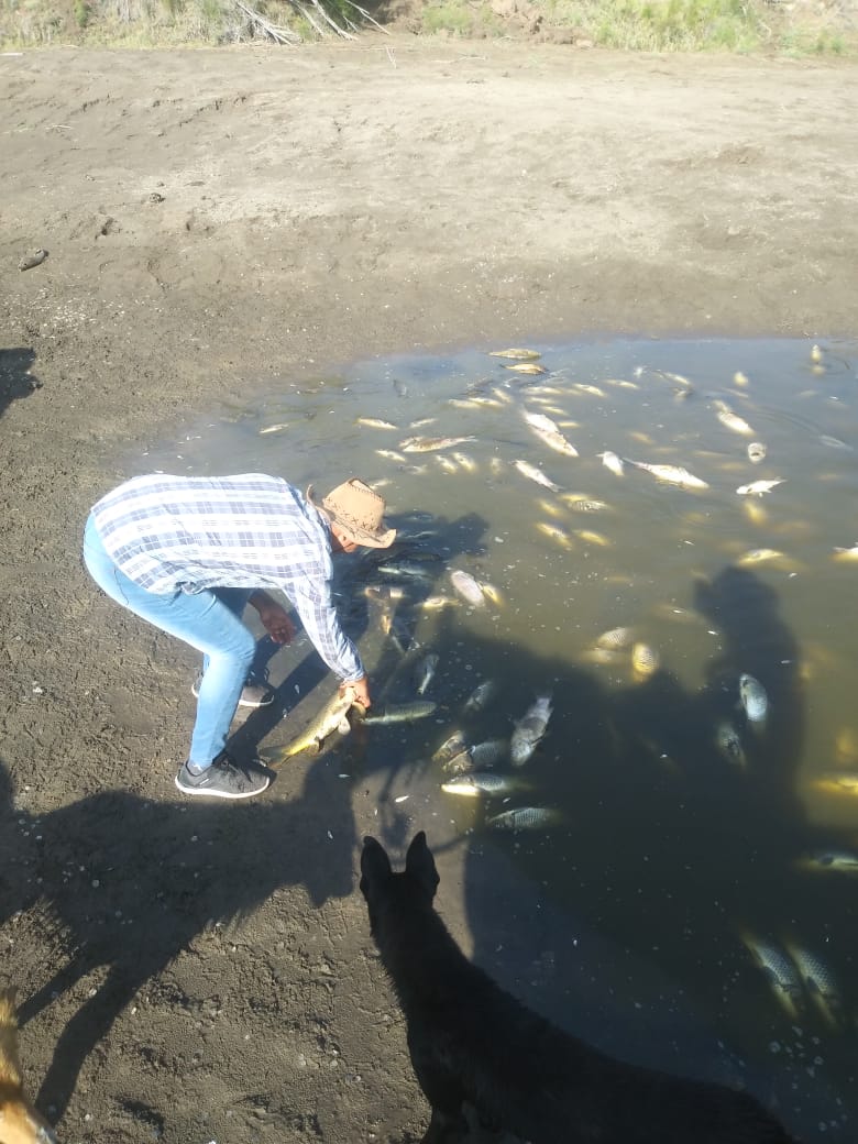 WhatsApp Image 2020-01-21 at 22.33.28