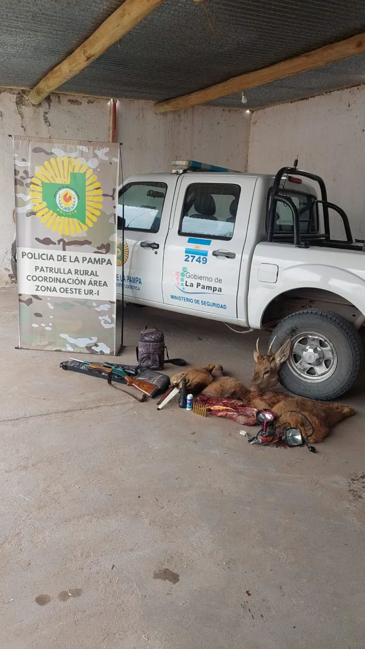 WhatsApp Image 2025-08-25 at 1.05.25 PM