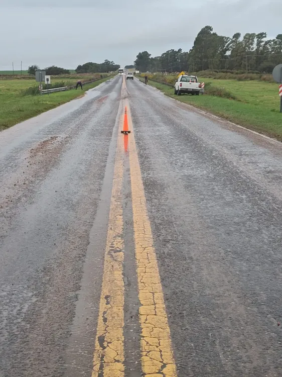 WhatsApp Image 2025-03-26 at 1.43.09 PM