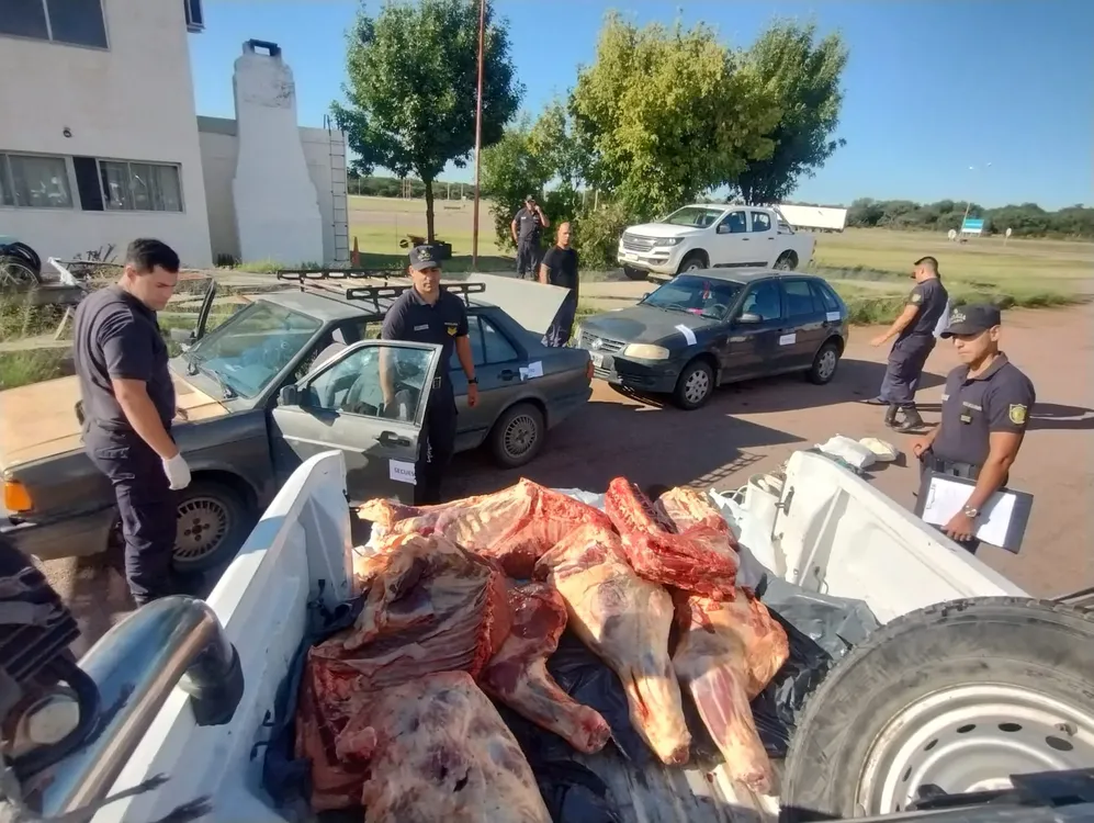 WhatsApp Image 2024-03-15 at 10.52.39 AM