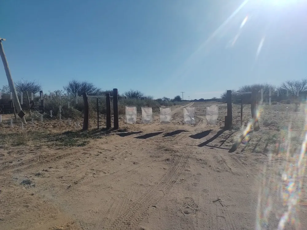 3900866-WhatsApp Image 2024 07 26 at 13.19.04 1