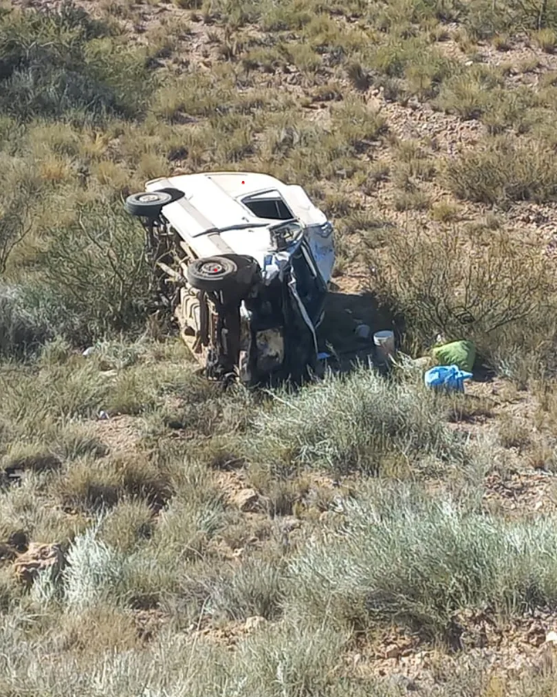 algarrovuelcolabardaa