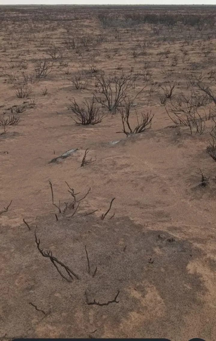 WhatsApp Image 2025-11-27 at 1.13.29 PM (1)