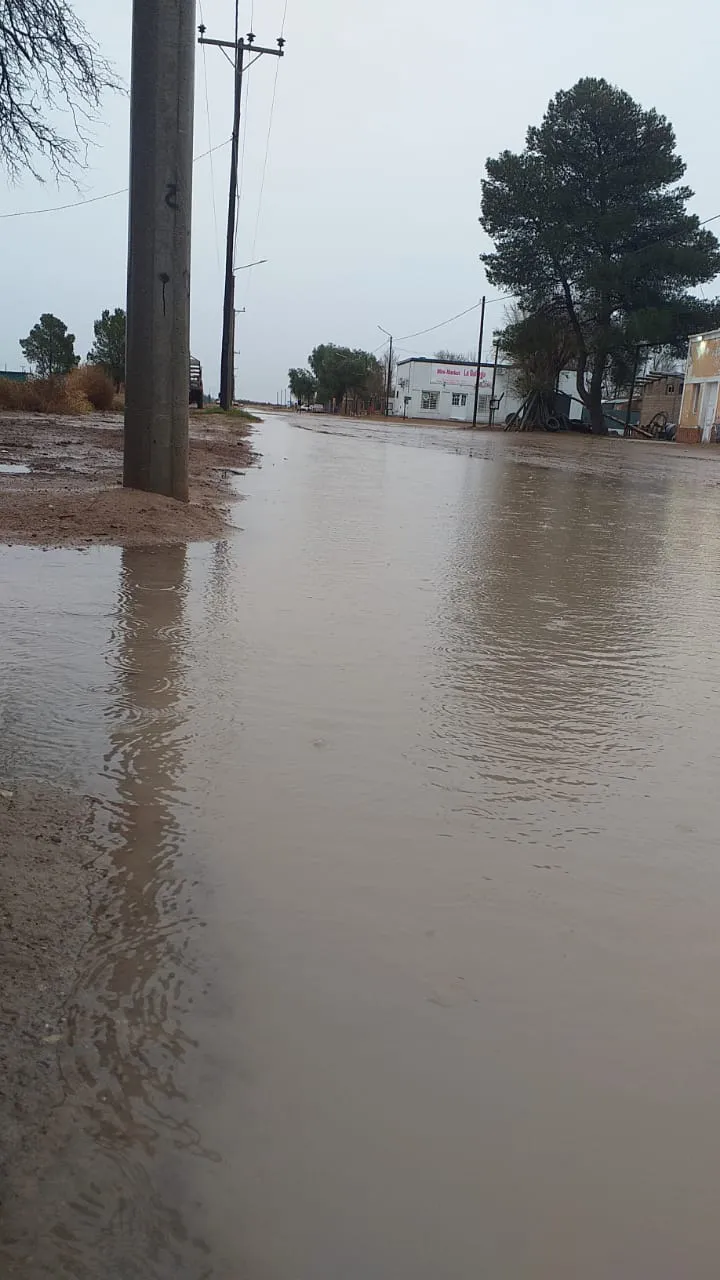 WhatsApp Image 2023-08-22 at 09.55.14