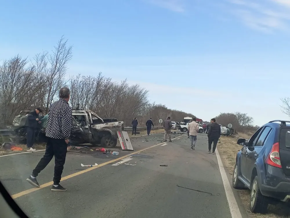 WhatsApp Image 2025-08-14 at 1.50.25 PM