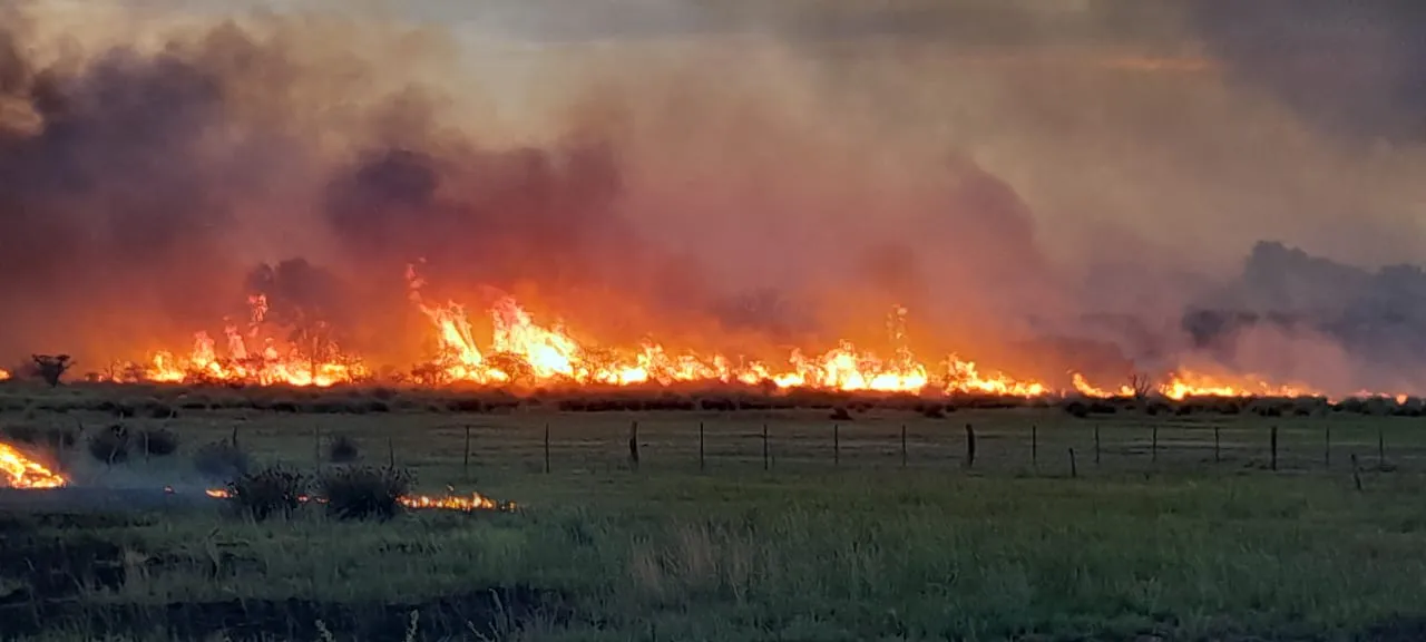 WhatsApp Image 2024-02-01 at 9.01.52 PM (1)