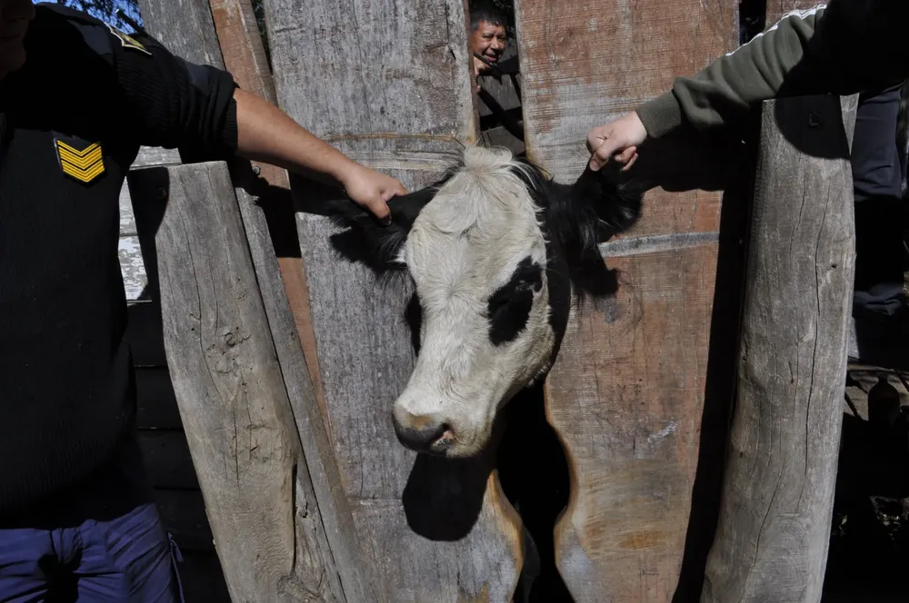 WhatsApp Image 2024-05-27 at 11.59.37 AM