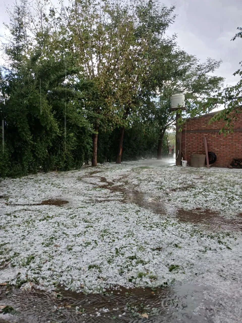 WhatsApp Image 2025-02-27 at 9.24.25 PM