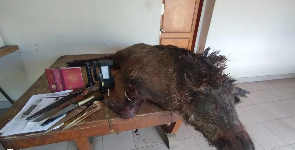 WhatsApp Image 2024-09-06 at 10.04.32 AM