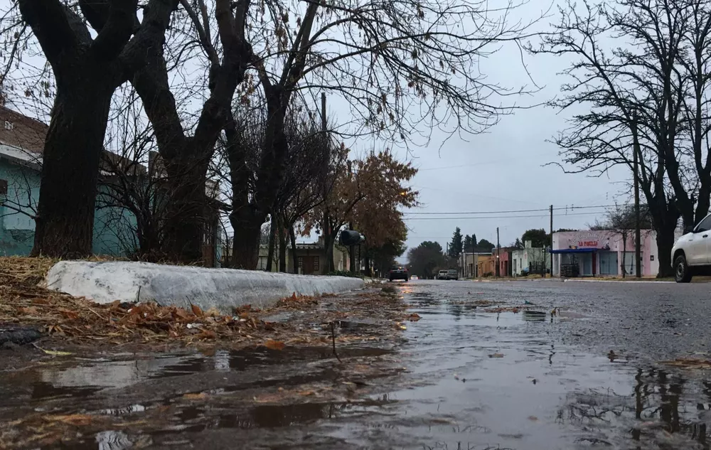 WhatsApp Image 2022-08-08 at 8.57.11 AM