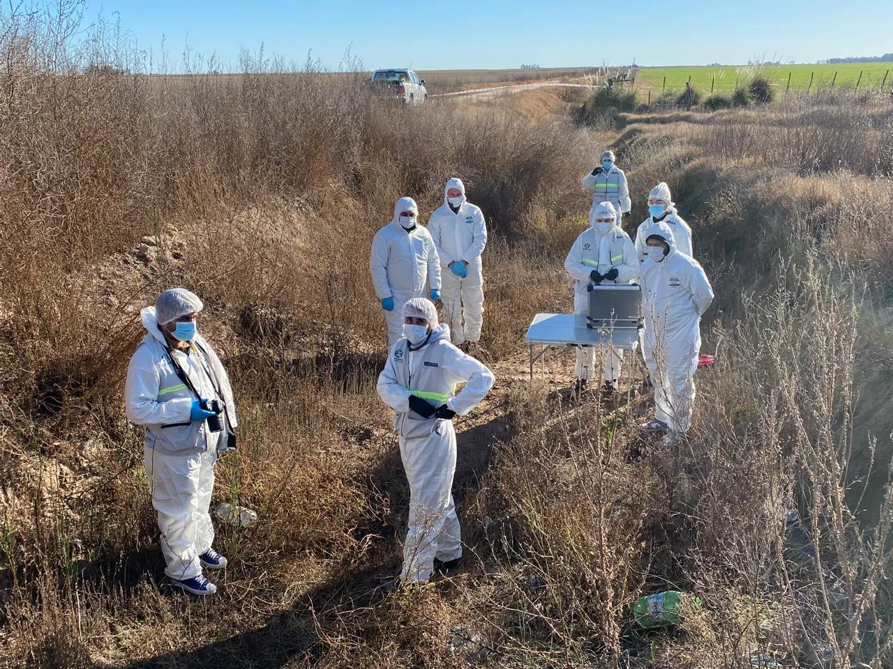 WhatsApp Image 2024-06-29 at 11.28.50 AM