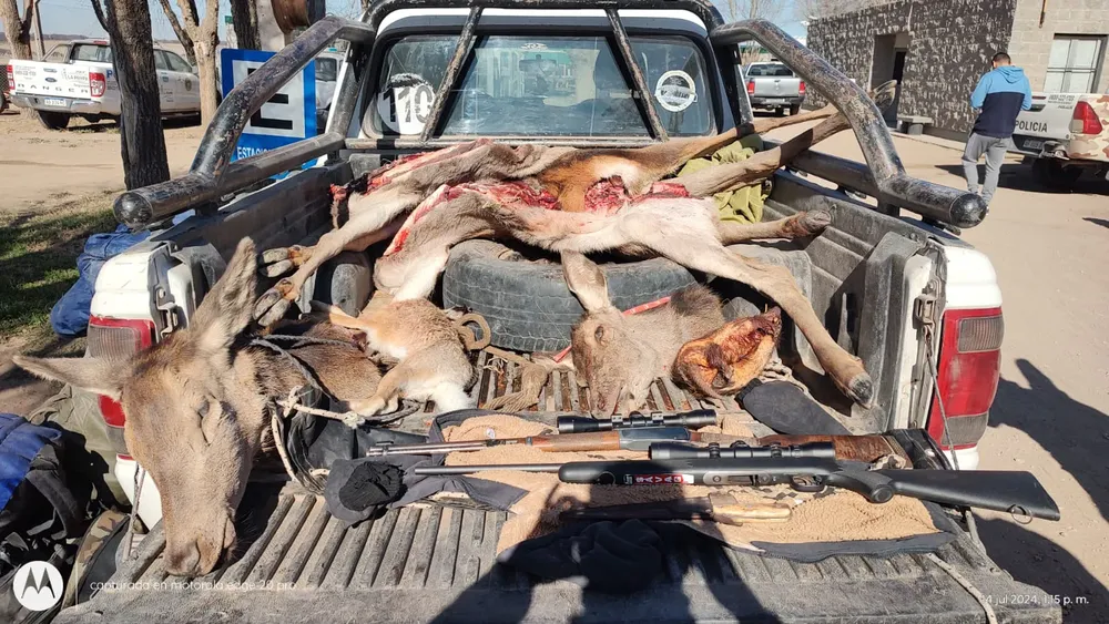 WhatsApp Image 2024-07-17 at 9.58.10 AM