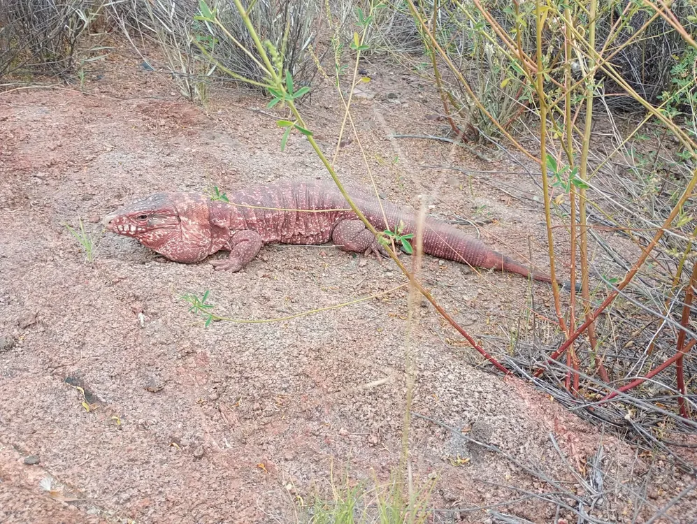 Galería APN - 2024-12-18T175728.450