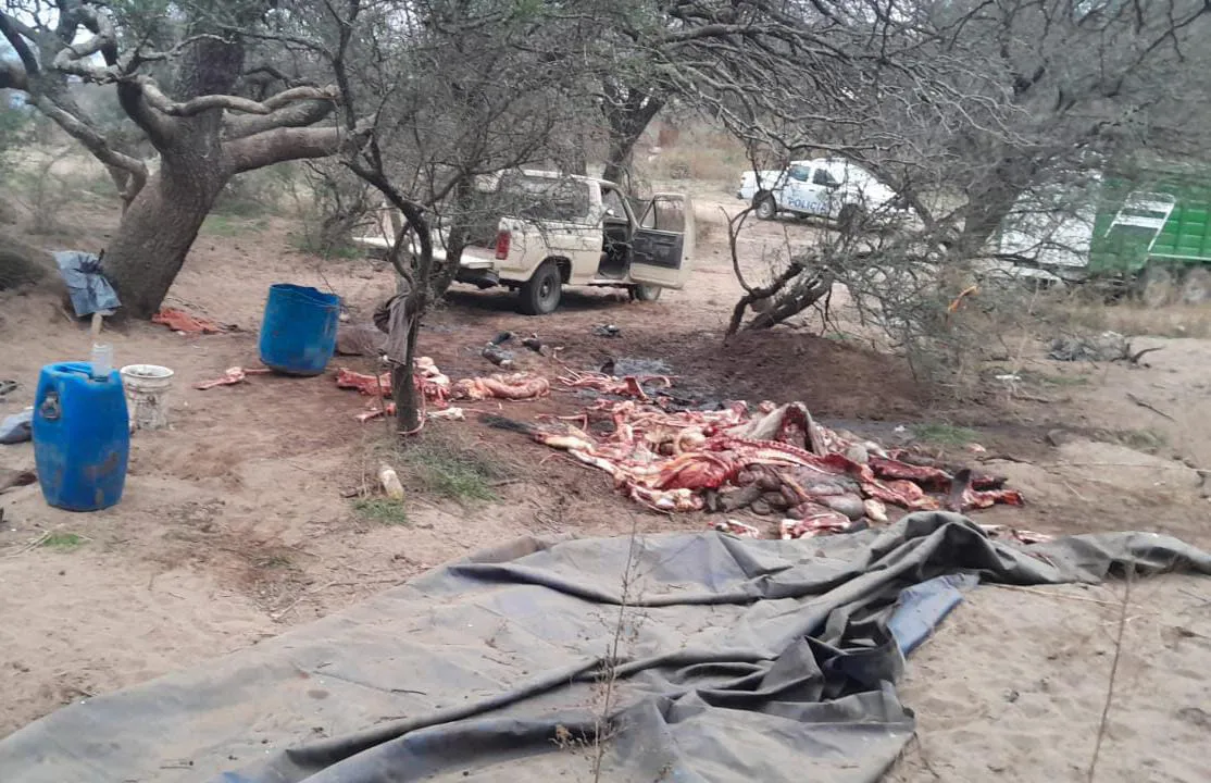 WhatsApp Image 2024-06-18 at 11.07.48 PM