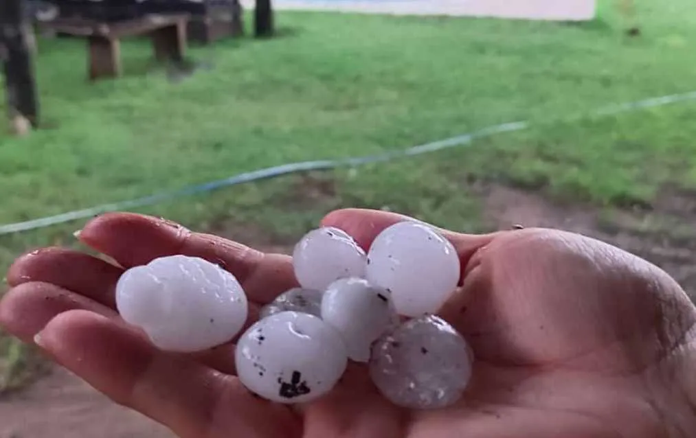 Copia de Copia de Copia de Copia de Copia de Copia de Copia de Copia de Copia de Copia de Copia de Copia de Oscar Limpieza (Post de Instagram) (1350 x 850 px) (4)