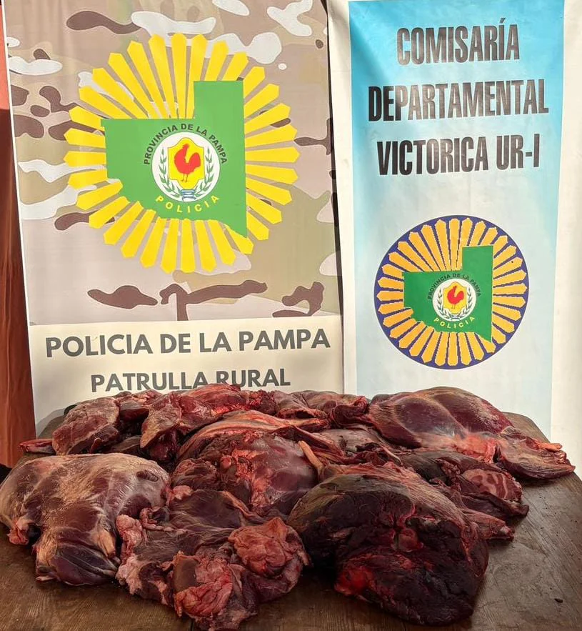 WhatsApp Image 2026-03-10 at 7.31.28 PM