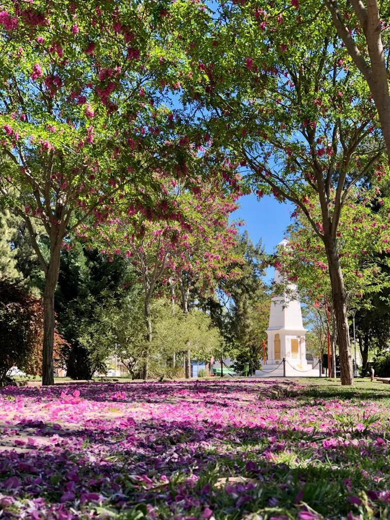 WhatsApp Image 2021-10-14 at 08.21.24