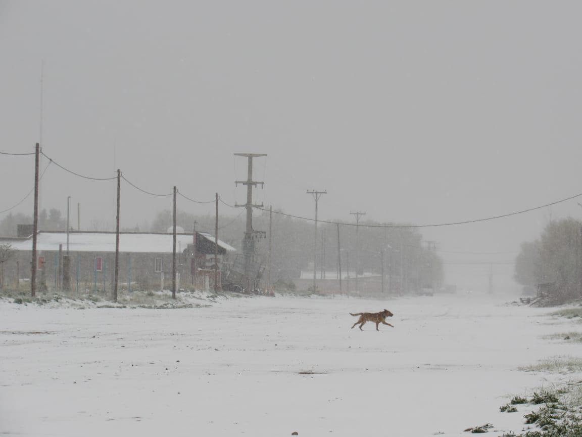 WhatsApp Image 2020-10-03 at 11.00.35(1)