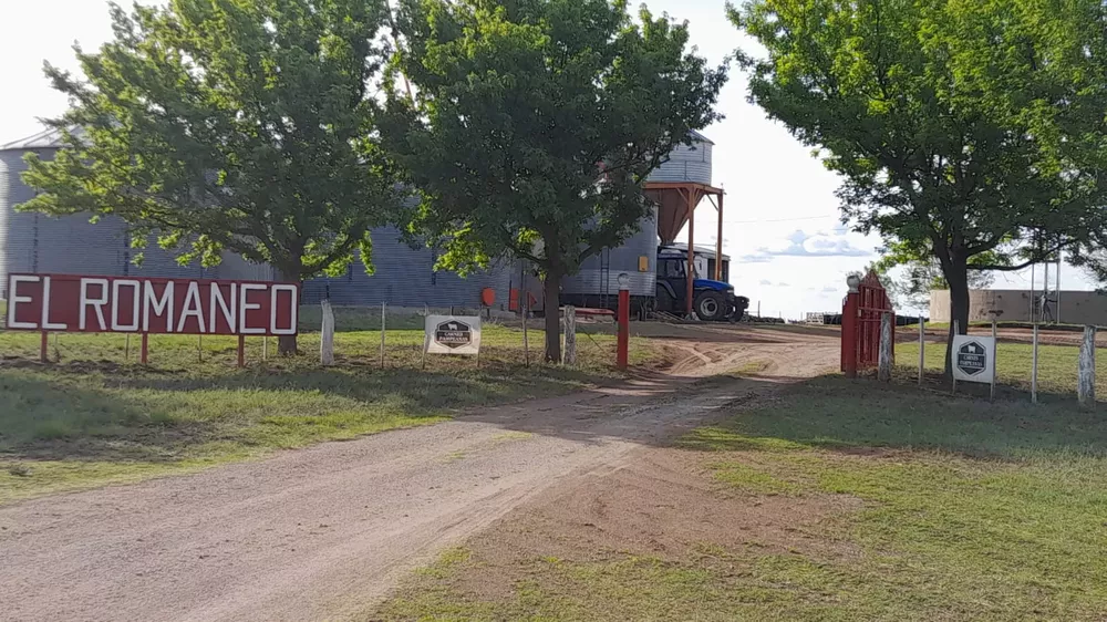 WhatsApp Image 2022-10-05 at 5.18.41 PM