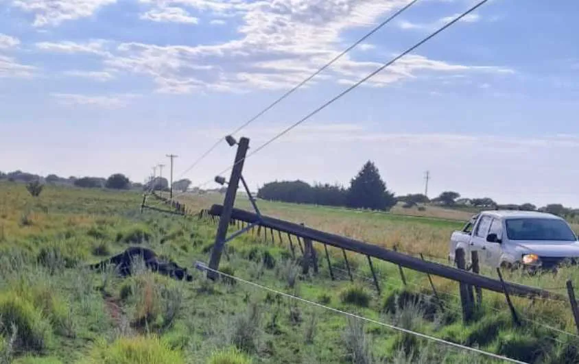 Copia de Copia de Copia de Copia de Copia de Copia de Copia de Copia de Copia de Copia de Copia de Copia de Oscar Limpieza (Post de Instagram) (1350 x 850 px) (3)