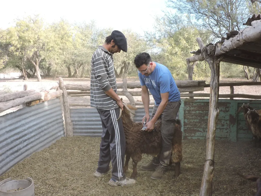 WhatsApp Image 2025-06-04 at 1.30.45 PM