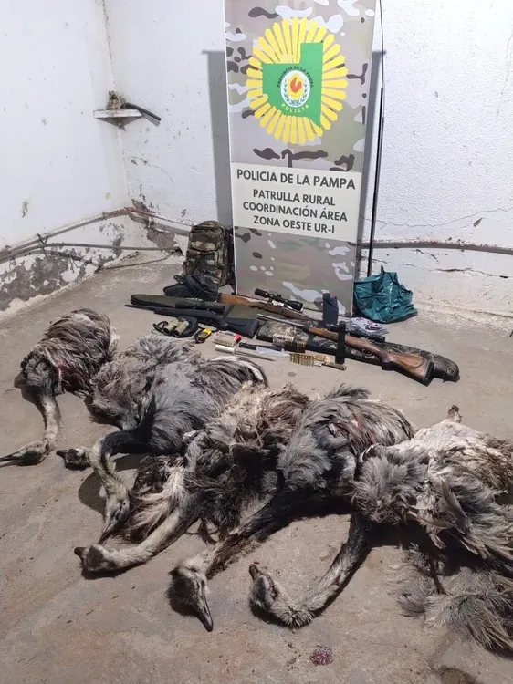 WhatsApp Image 2025-04-06 at 6.43.40 PM