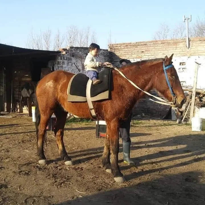 WhatsApp Image 2025-09-30 at 9.55.28 PM (1)