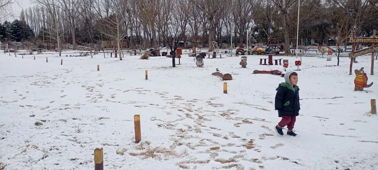 WhatsApp Image 2025-07-26 at 11.06.26 AM (1)