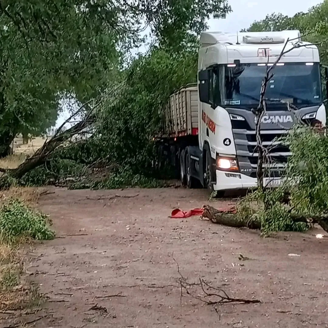 WhatsApp Image 2026-01-21 at 8.09.18 PM (1)