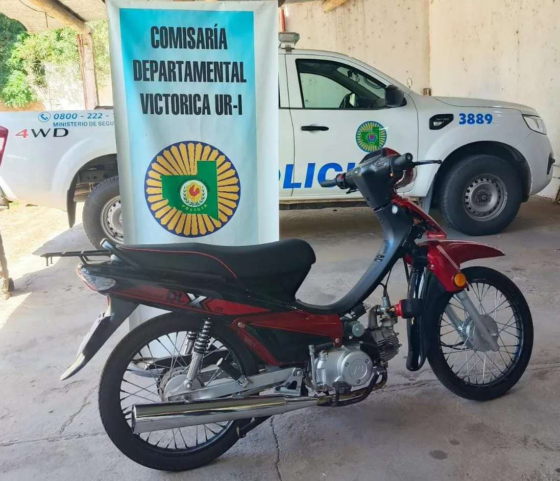 WhatsApp Image 2026-01-18 at 11.31.40 AM