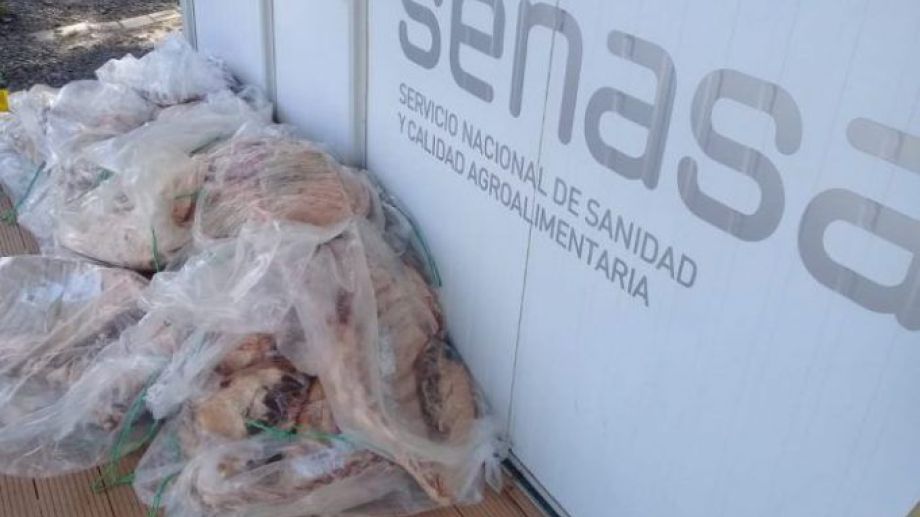 senasa carne