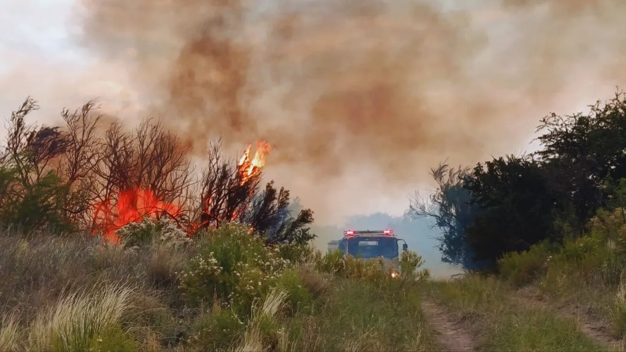 fuegostasebddesdessss