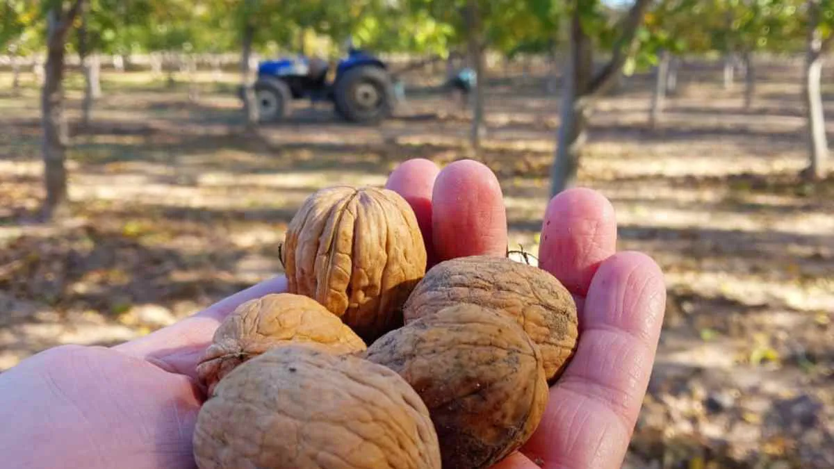 Copia de MPF Victorica (22)