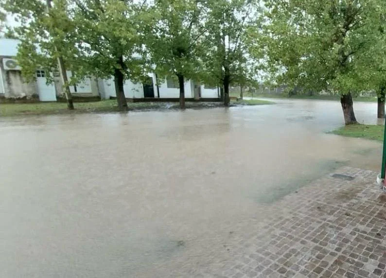 646148178_946963701008316_734880520821457736_n