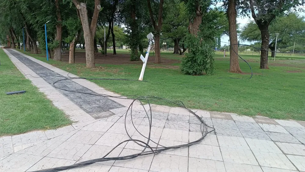 WhatsApp Image 2024-11-24 at 6.16.11 PM (1)