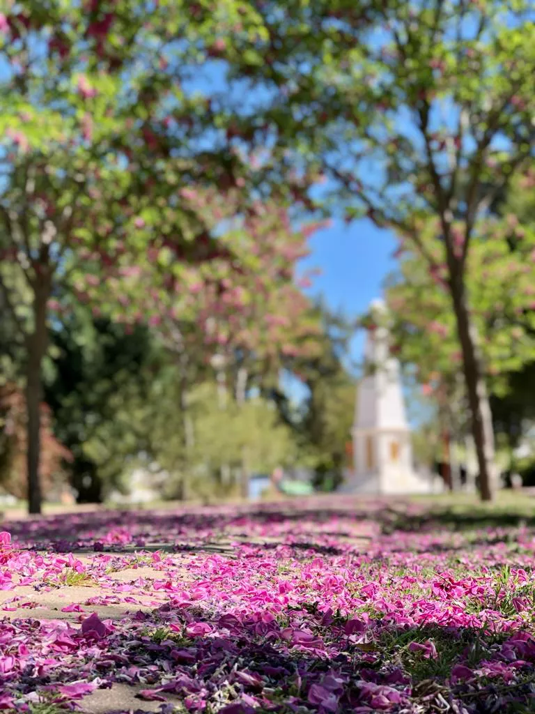 WhatsApp Image 2021-10-14 at 08.21.24(2)