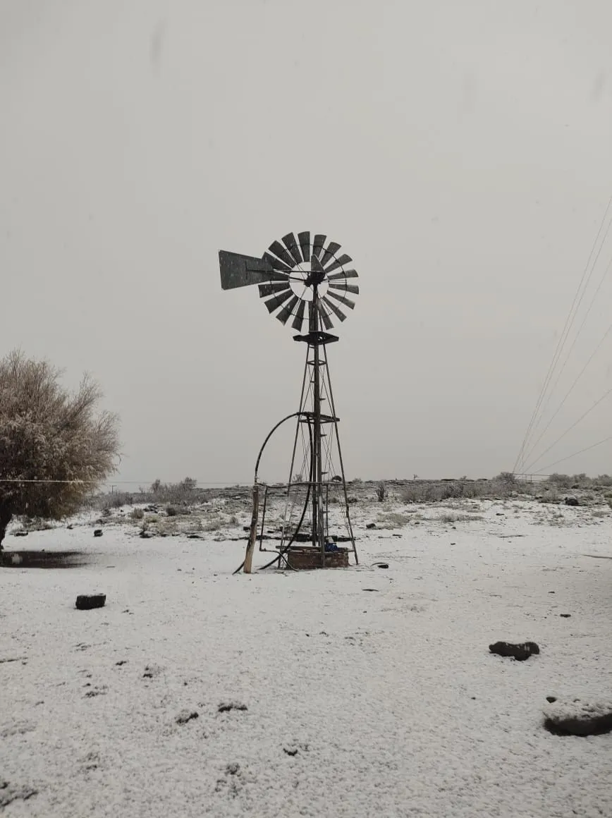 WhatsApp Image 2023-07-12 at 12.44.14