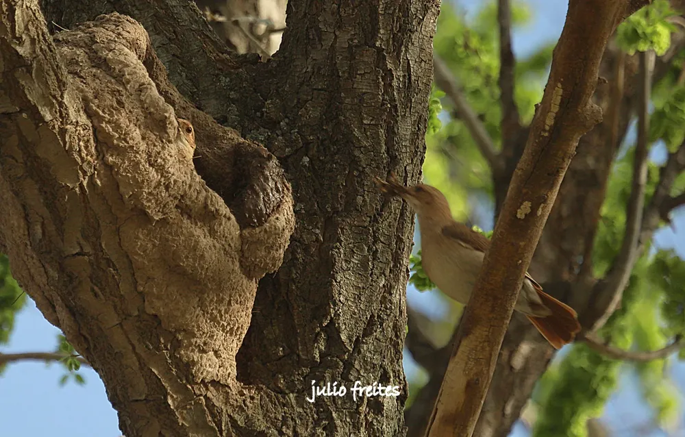 WhatsApp Image 2024-09-19 at 10.54.48 PM