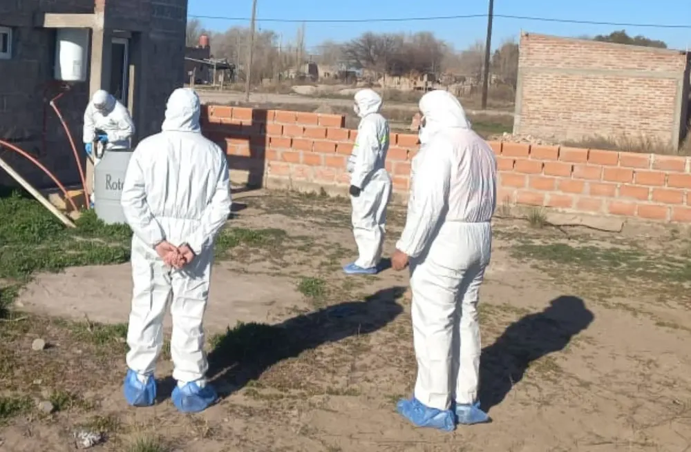 stasabelaicgralpicod