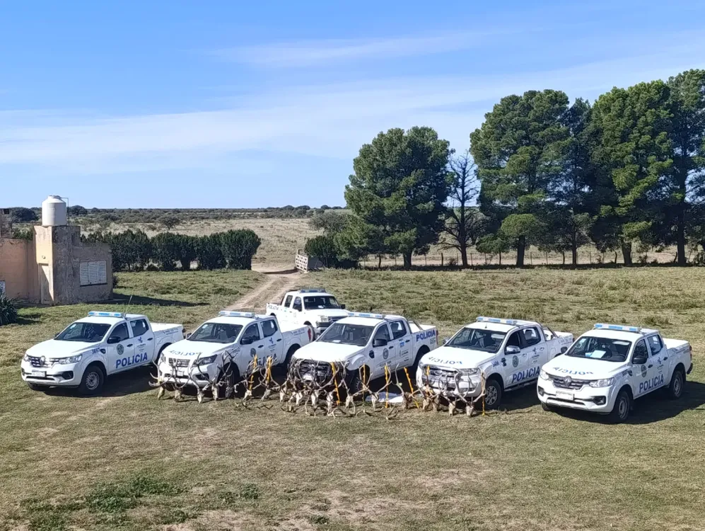 WhatsApp Image 2025-04-30 at 2.25.15 PM